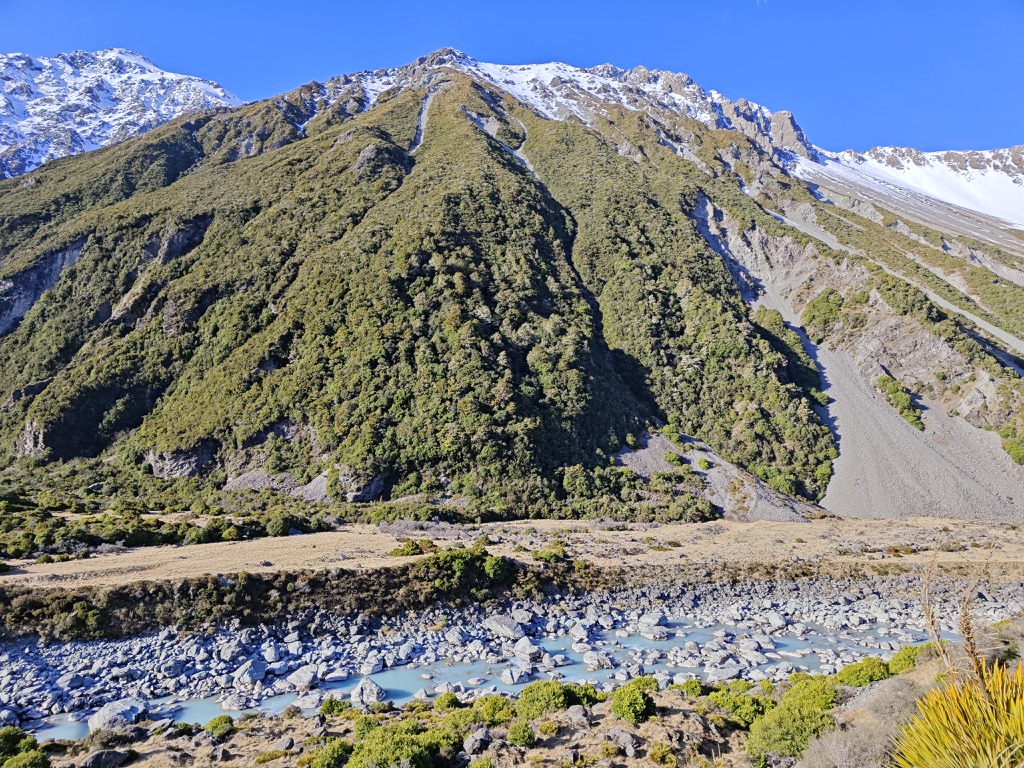 Image 15